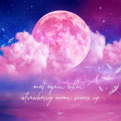 IU - Strawberry Moon 概念照